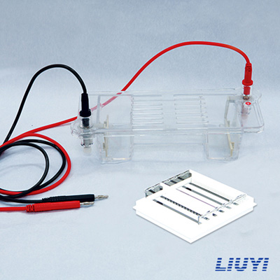 北京六一DYCP-32B核酸電泳儀瓊脂糖水平電泳儀(中號)