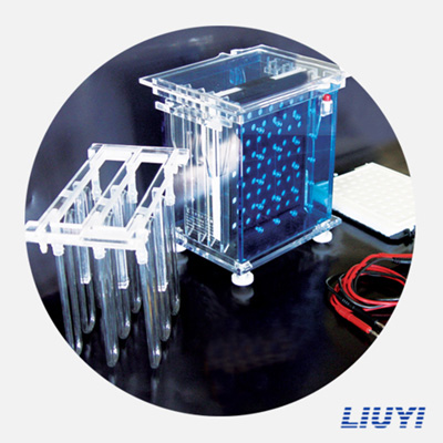 北京六一DYCZ-40A轉(zhuǎn)印電泳儀(大號)