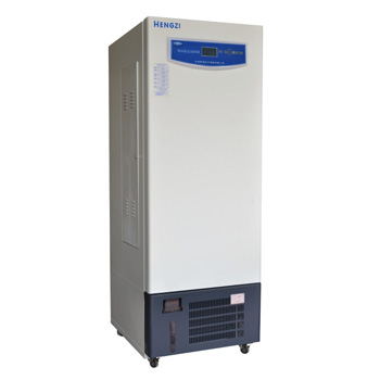 上海躍進YWX-250/YWX-300/YWX-500藥品穩(wěn)定試驗箱